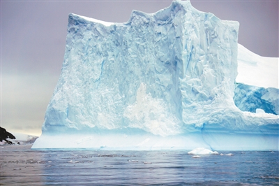 1522749888882995.jpg 01.jpg