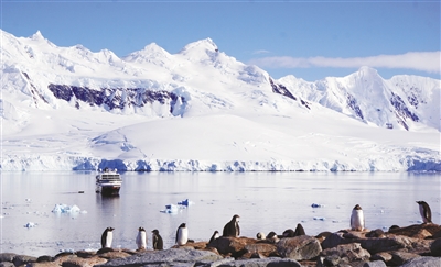 1522749957706678.jpg 05.jpg