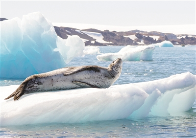 1522750001754693.jpg 07.jpg