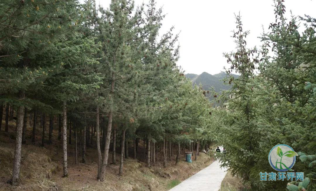 1529979421222349.jpg 微信圖片_20180626101334.jpg